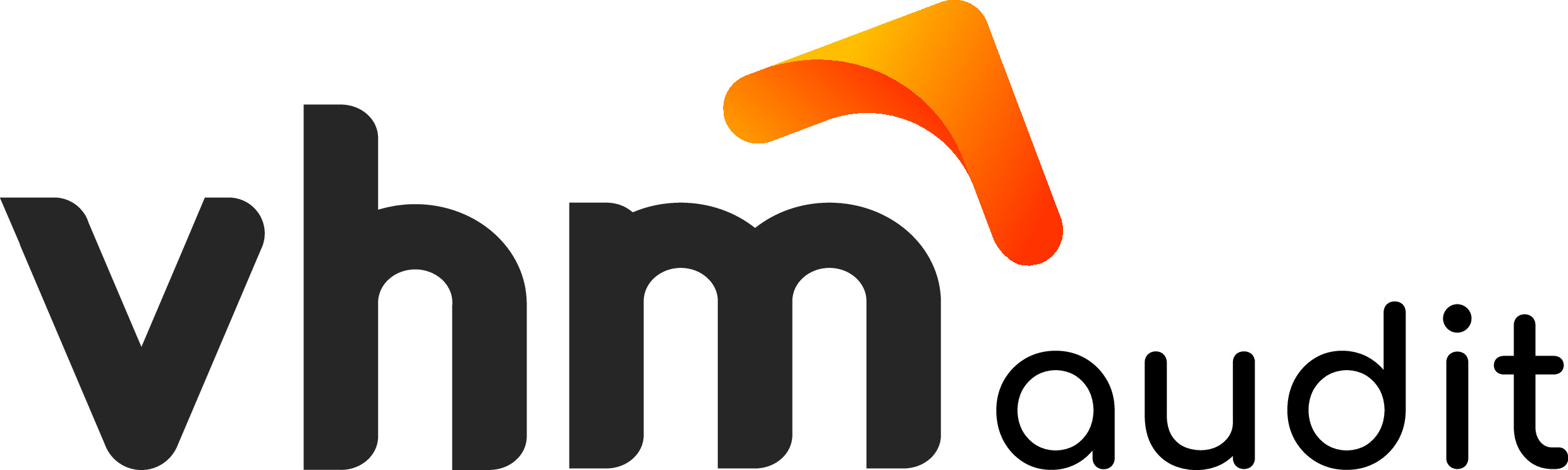 logo-vhm-audit